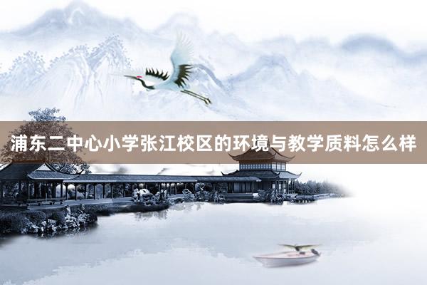 浦东二中心小学张江校区的环境与教学质料怎么样