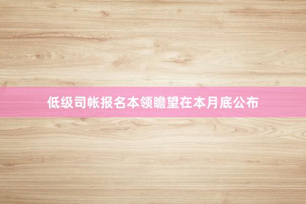 低级司帐报名本领瞻望在本月底公布